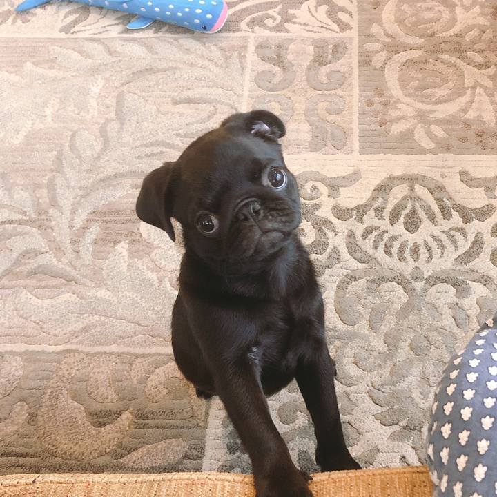 9c5f7e03 3516 4019 ab29 d519d4fb7ec2 1589760401265