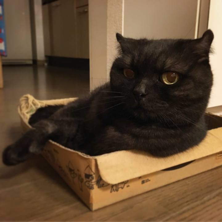 9c5f91eb c6d2 44ff 8e48 b25218c78979 1534431663905