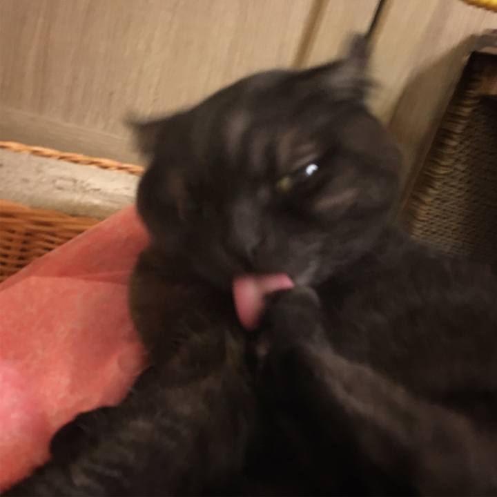 9c5fa813 852c 4484 8541 e11983d9a827 1554986793441