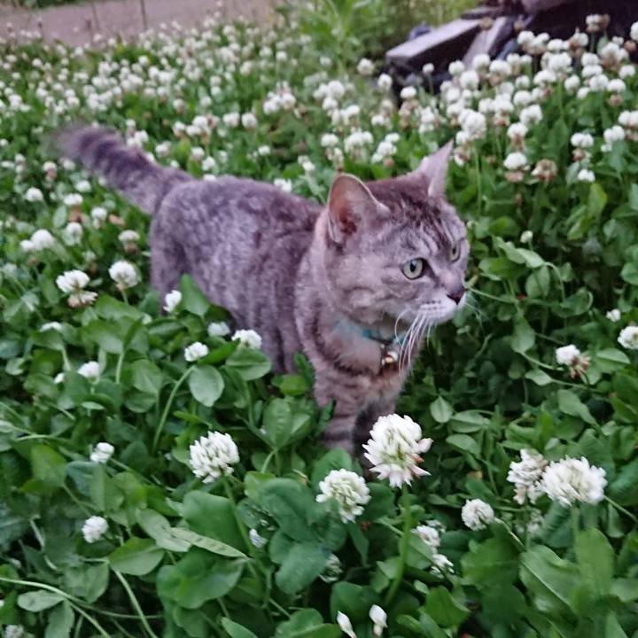 9c5fb055 184b 4af0 841d 0ceb33c8b946 1560859944474