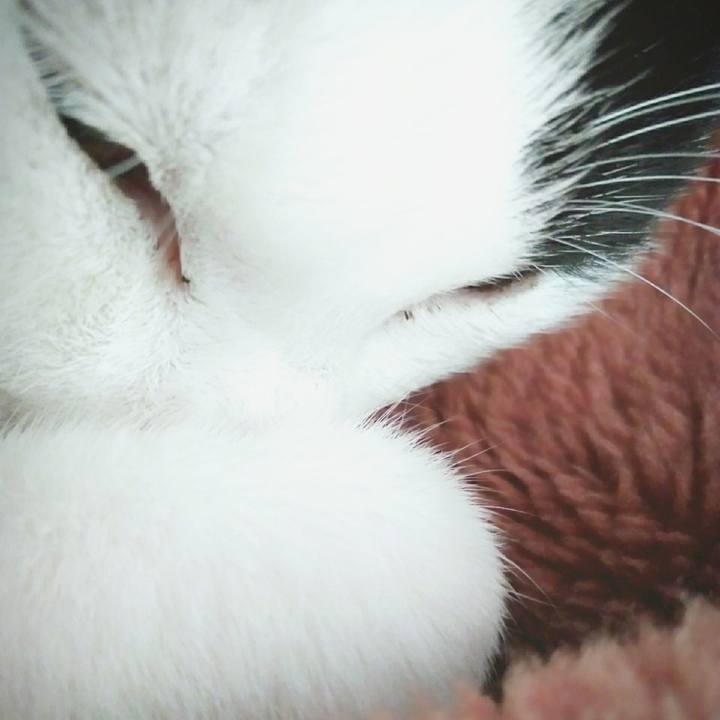 9c5ff66f 131b 4d48 8c5a 0556a03b3e25 1552562399413