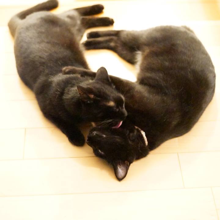 9c5ffce5 7df2 4b8f ab1f 137737e03181 1532183481759