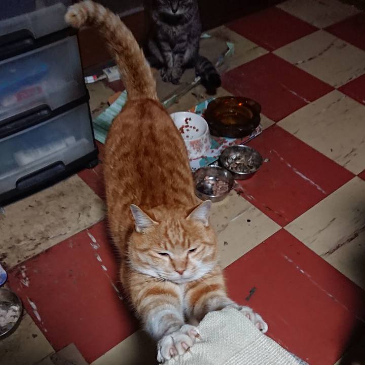 9c5fff2d 791d 4180 aabf 4651fb4365e3 1579549723011