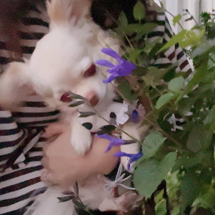 9c600832 ed09 474b 8150 d78028c0f453 1697114881105