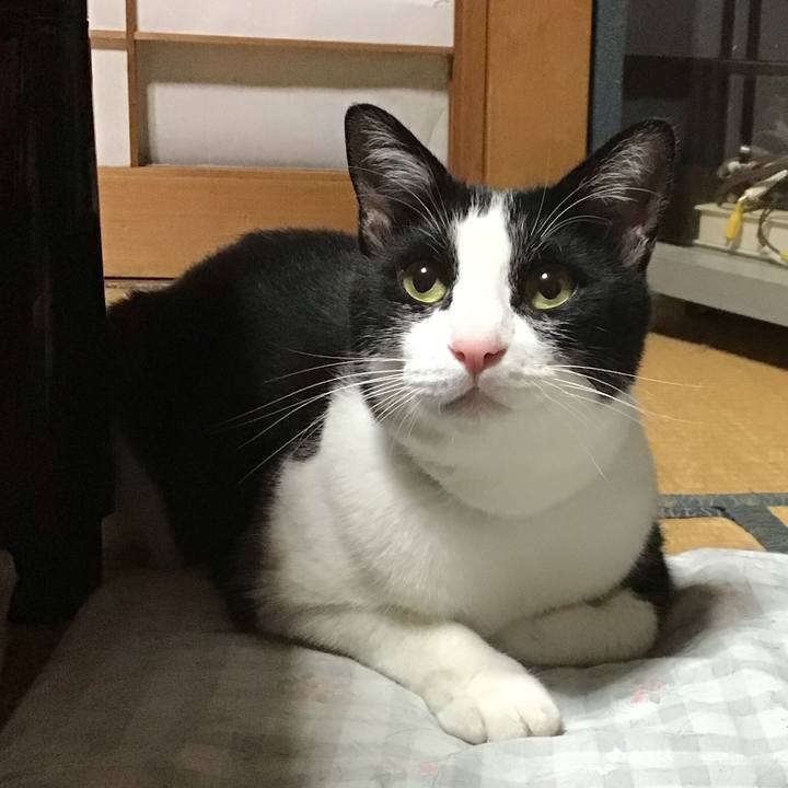 9c601c95 dea5 4130 9d95 fb02658f4879 1688474709155