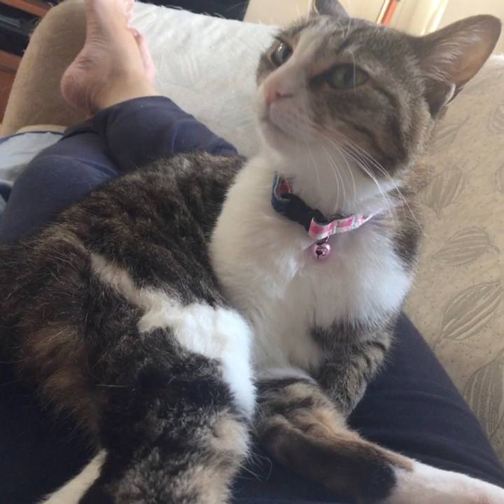 9c6055a6 df95 4cd9 9e29 b5e99442aca6 1692663575676