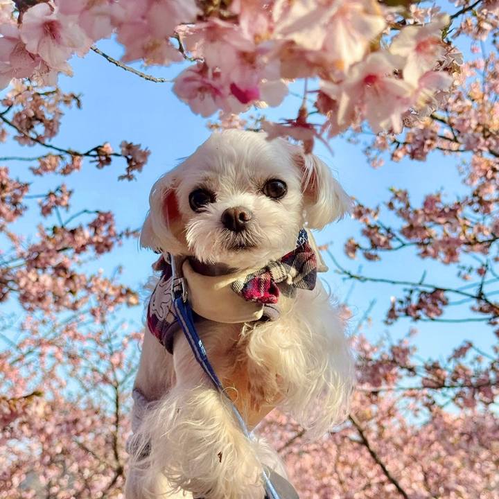 9c607376 1065 4708 ae75 1e755aa964bc 1771169645011