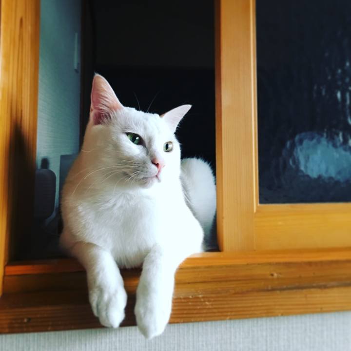 9c60bbd6 1569 4303 9bb5 2142798e37bd 1527044125676