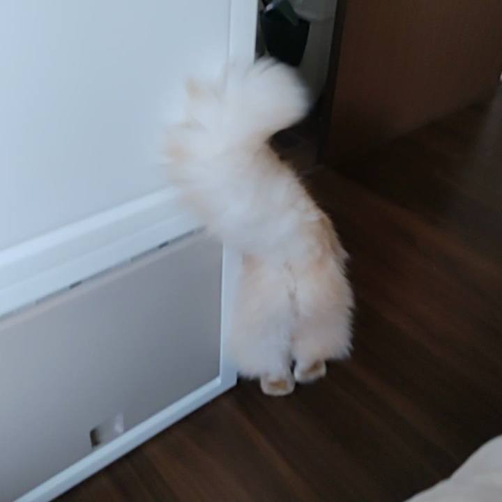 9c60f101 48ee 4128 84f6 65d4432eb821 1716443486085