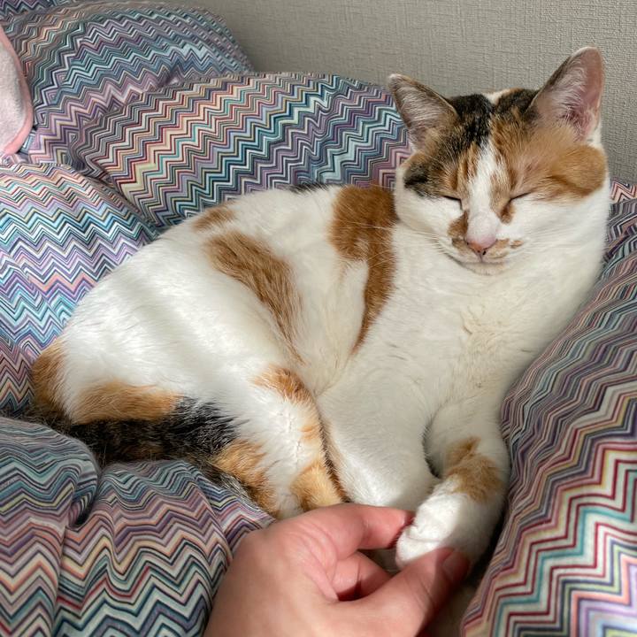 9c6111f2 fb16 47f6 a199 f59edb81e899 1651903981534