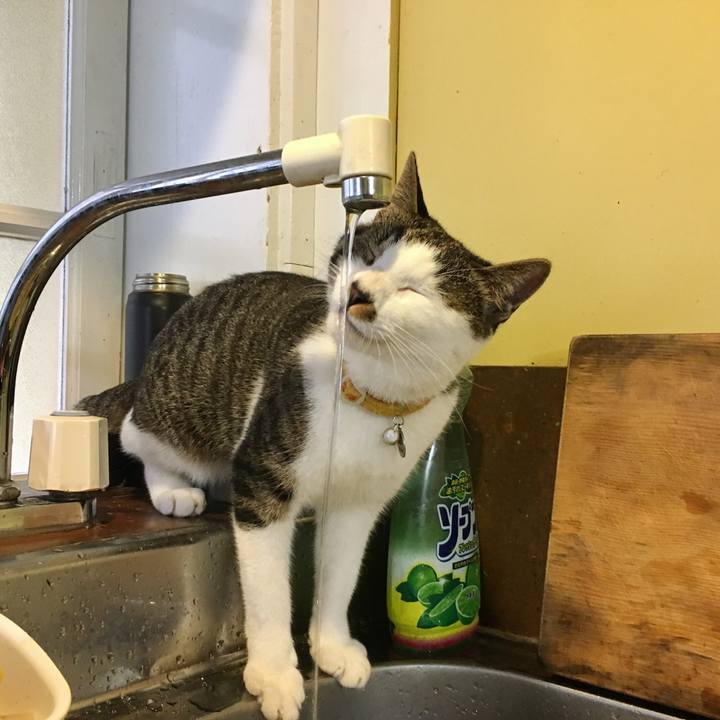 9c611f22 a7b3 4f9d bad1 fa01bc7ad1f3 1510484142012