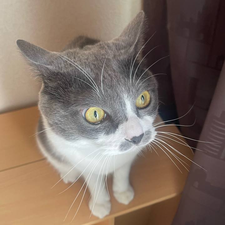 9c612306 6519 44ba a4b3 cc3722a2bf4d 1730243262502