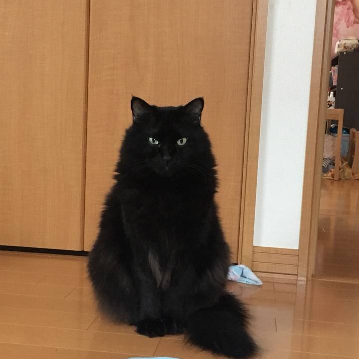 9c613d3c ab35 4b01 a3d9 72eb89700986 1538931515524