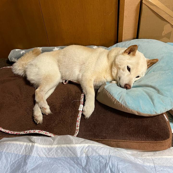 9c613e97 cc01 4d68 9110 dabe5848778b 1650204675355