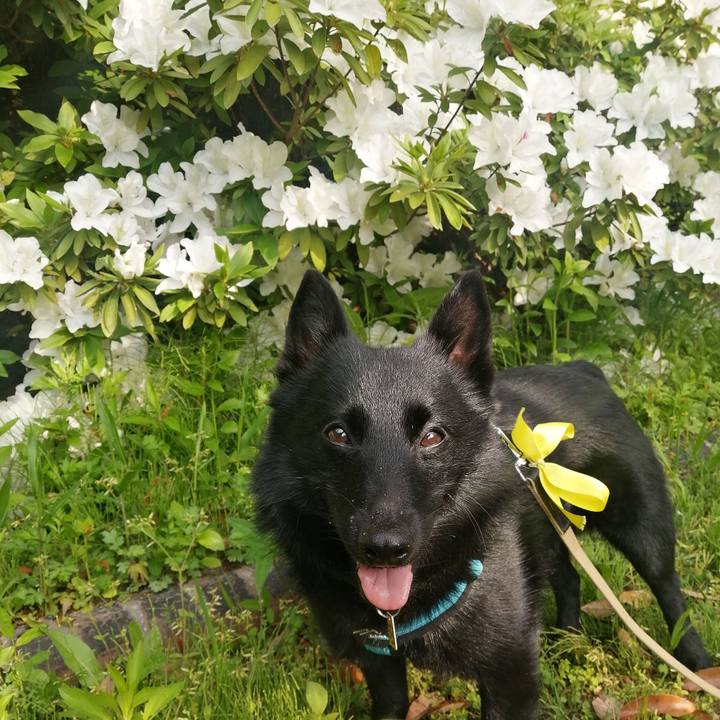 9c6143ec 4cbf 4c95 8f8e 8dc4f435a8cb 1650667813206