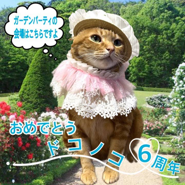 9c617fc9 0e87 45bc ba36 e5db4347e913 1654436765521