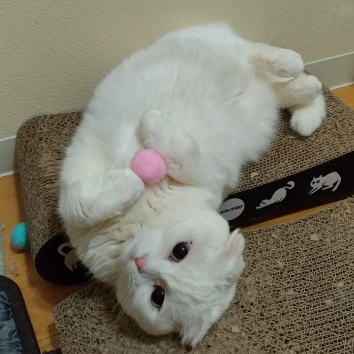 9c6193d5 d3ef 4ce7 af56 e2d7b0197e4c 1550814277983