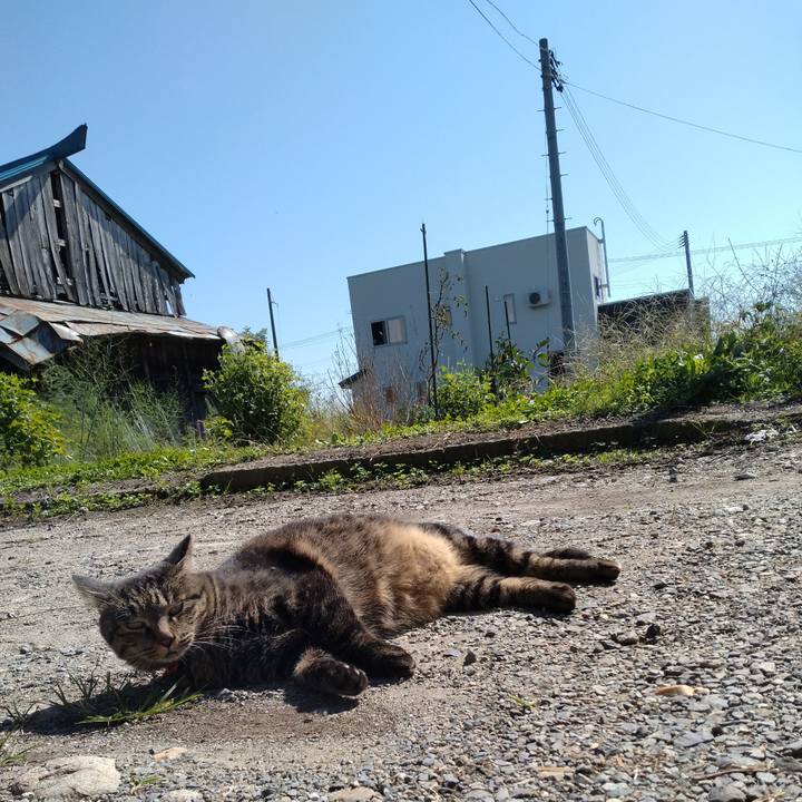 9c619fff 3717 4035 8136 b246d272feea 1664508349596