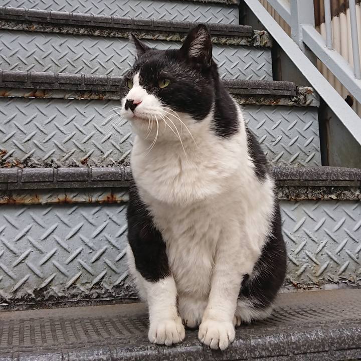 9c61c036 0f41 4c21 9862 9437f89b1d86 1674356173782