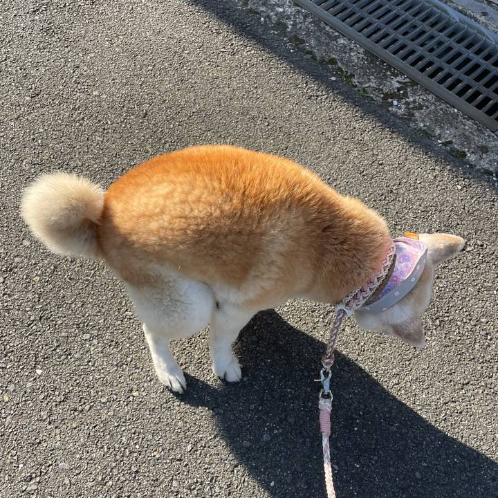 9c61d998 83aa 4bac 9a60 848ccf746357 1683846793305