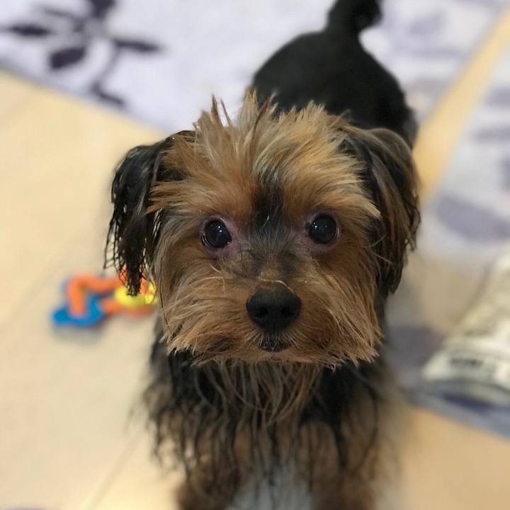 9c61e2de 70d3 49e1 878e 0d5c49b65b21 1529201500643