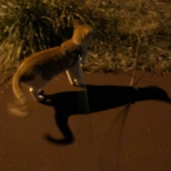 9c62255a a379 4f98 aaa2 cf47d29f19ba 1516362421703