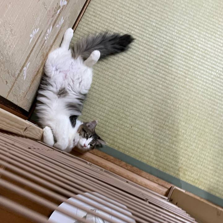 9c626023 7be3 451e 9239 b21bd09db8cb 1695871131077