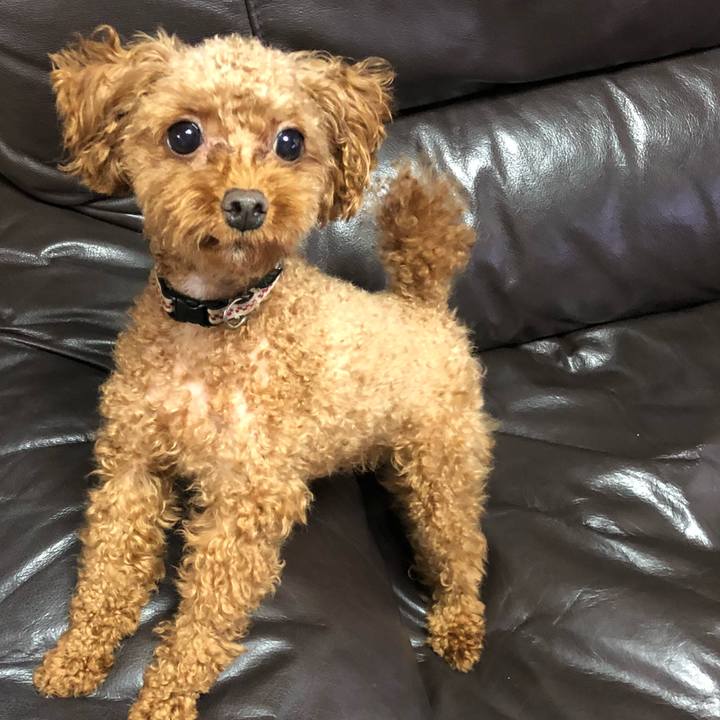 9c6270a3 3365 4925 b990 346471dfd0c4 1534109815841