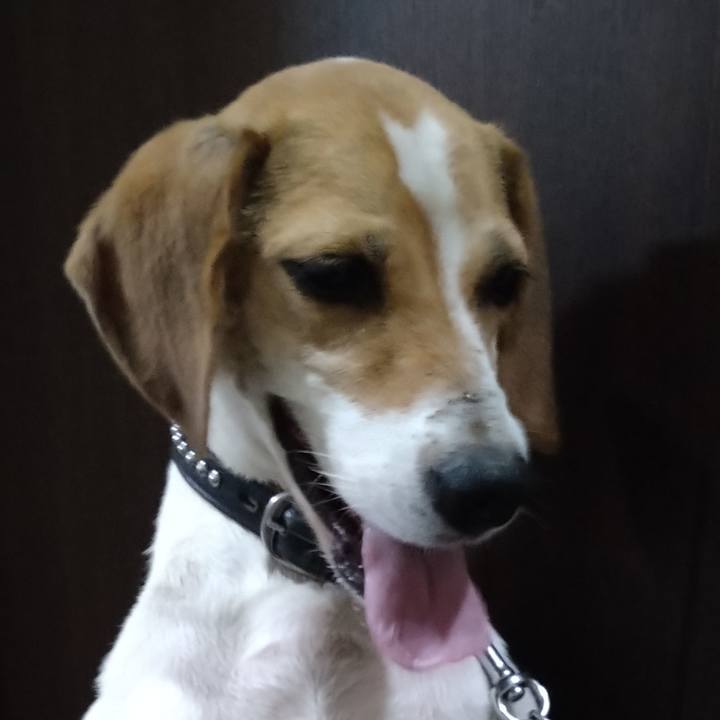 9c6271c4 dff4 487f a5b0 ab978e394cea 1626950783681