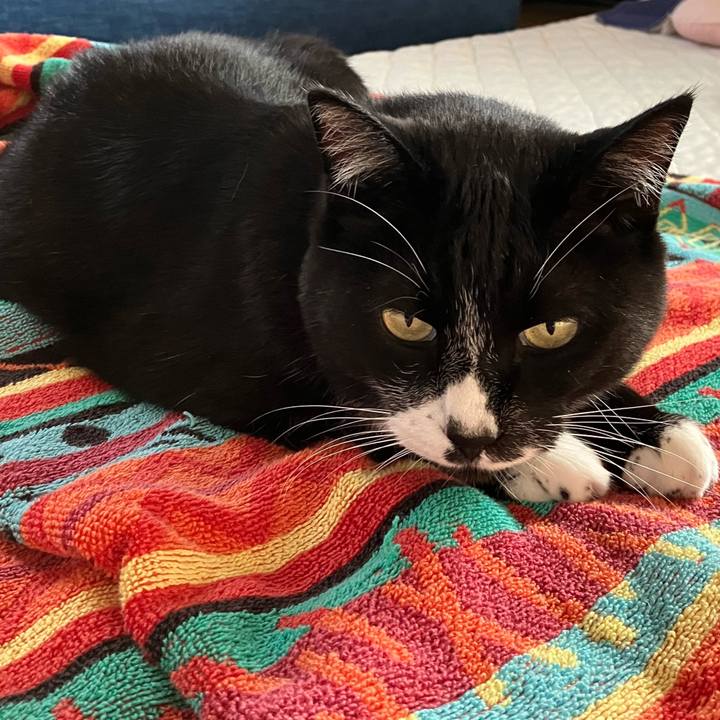 9c62b030 0066 4c04 846c 93bde284861d 1757646837224