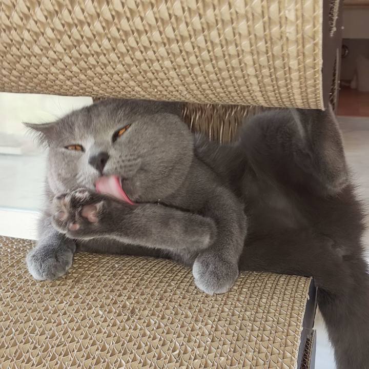 9c62d1dd 12c0 4c31 8c60 738e3b23c64b 1539154181186