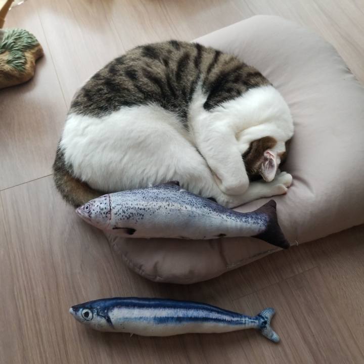 9c62e03e 4610 4175 b4dc 14853ee6ee98 1591134056473