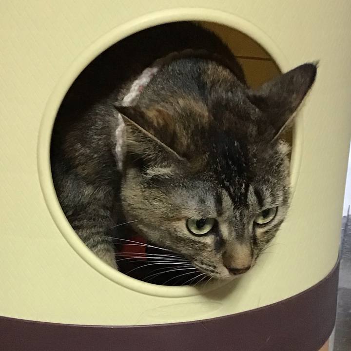 9c62e43a 952d 40d2 9146 19ddad7ffad5 1677313458697