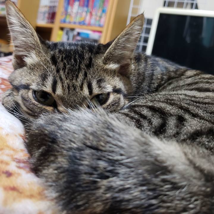 9c62e7b9 3f45 4daf 8335 88821e2c83c2 1542445429628