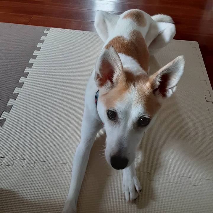 9c630b98 5e3f 4974 be87 d2c7e33fcaa4 1600432088089