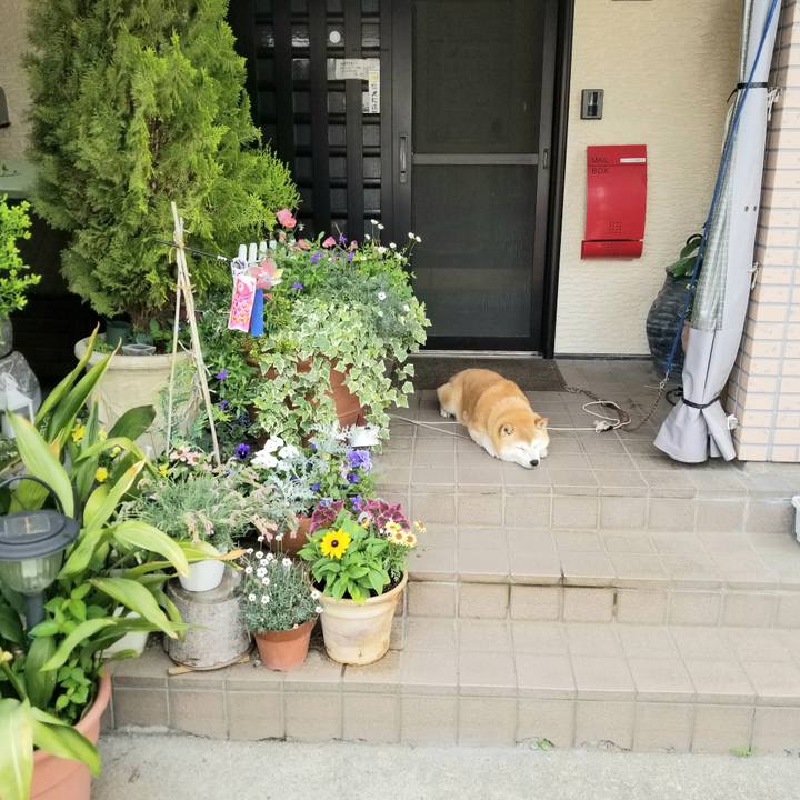 9c631643 0e74 48a5 90e9 45c2127935f0 1655771599828