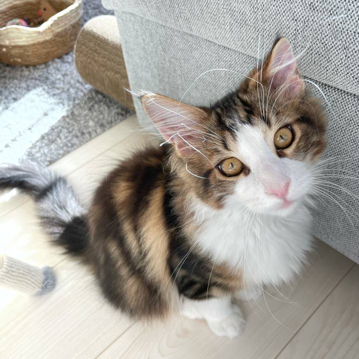 9c633dd5 8a12 4802 80ef 2b1654b2a2f1 1634938787226