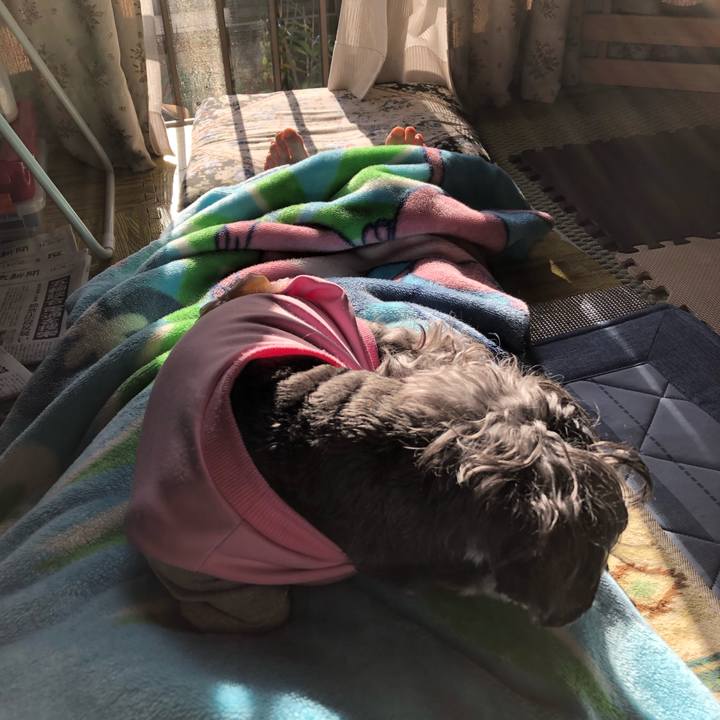 9c633e08 c5e5 4fed b82a 7bd437065c96 1669526669643