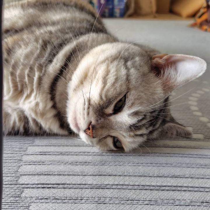 9c63409e 0be9 45b3 866f af5e1212bfae 1760228295770