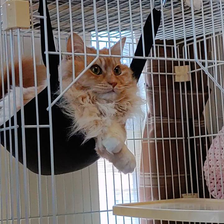 9c6378d9 e132 49f2 a541 7e90cf27ce53 1716014432477