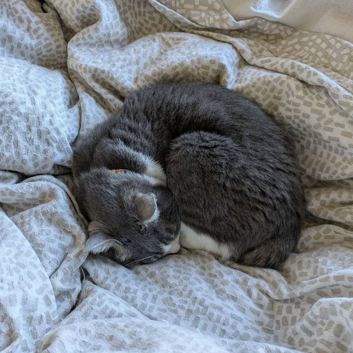 9c63994d 6b7a 479e bafb 19571dd0ff5c 1734147053575