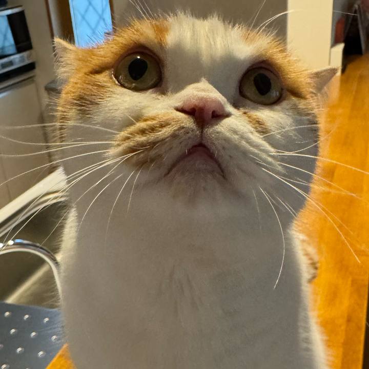 9c63f390 6f8d 428e b6bc 7ba363f7fd02 1767753182181