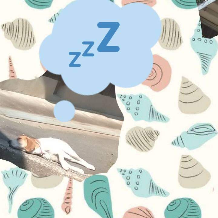 9c640ab6 c0ba 4658 9935 b306f379f1a2 1588151540848