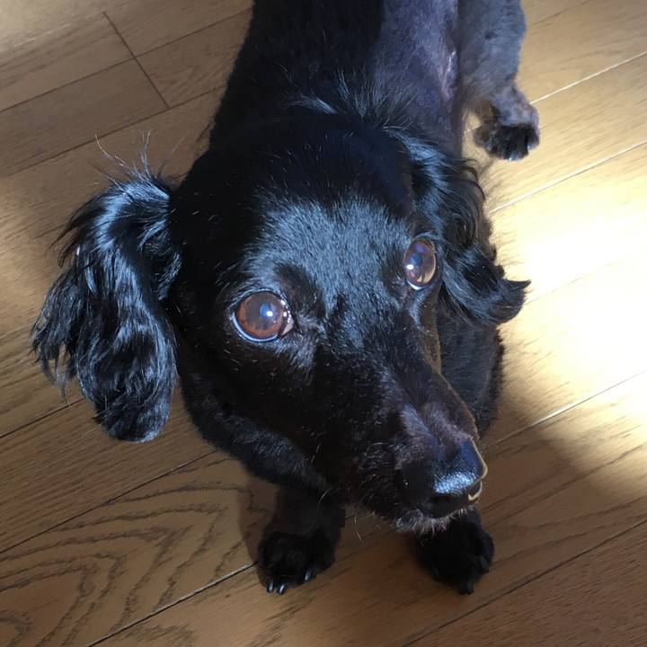 9c642706 bfc7 40c3 aca4 f8a6076d8392 1518129155052