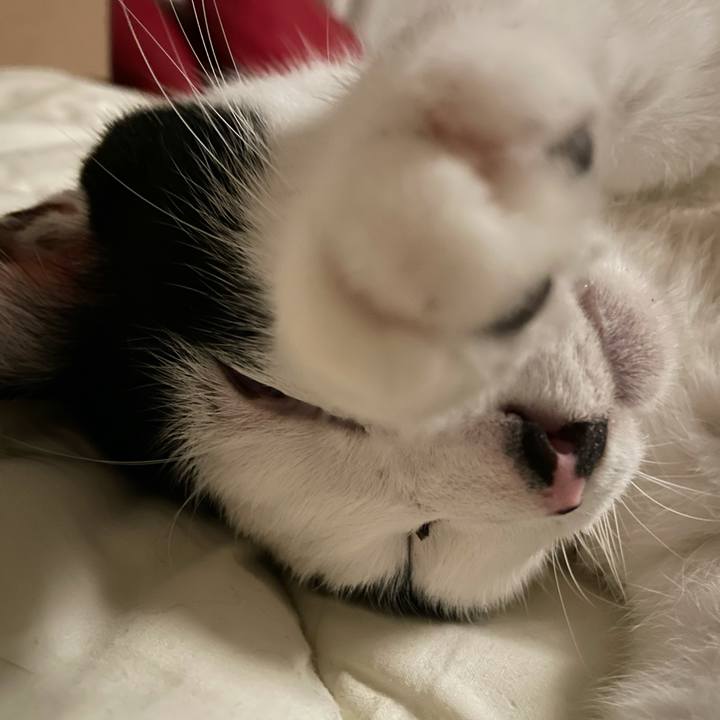 9c644027 7118 4e75 879f fde31a302386 1629376947233