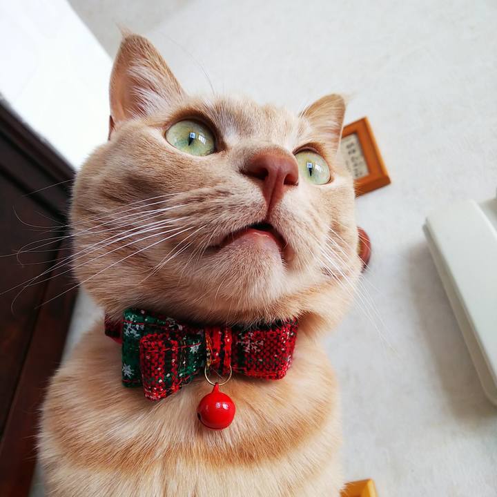 9c648272 5707 41c4 9dd7 4c7f3a5ffd5a 1608700678970