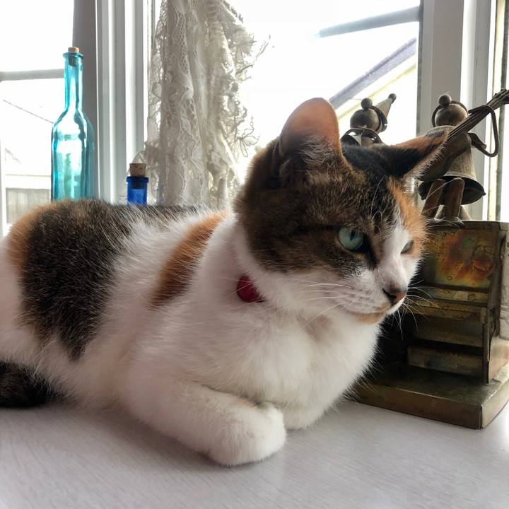 9c649fff 1c7c 49dc 9420 9afcdbc54573 1530950004908