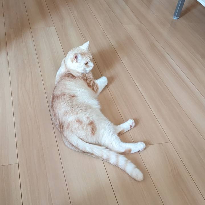 9c64a848 7c5a 4c46 944f 941f6e05ac03 1692921487444