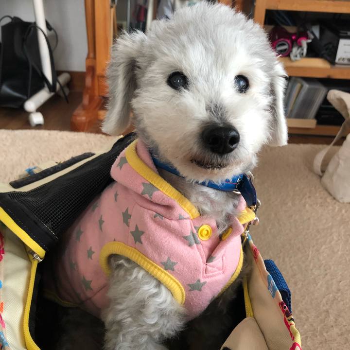 9c64c0f7 dae8 4fbb aebc ef757f8705b2 1647305146187