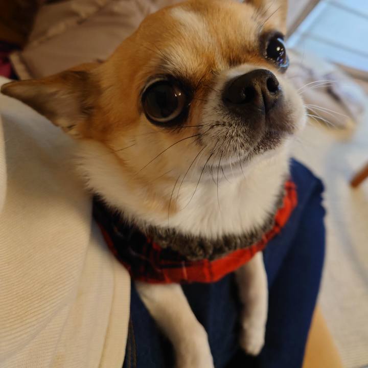 9c651c4d ac55 4f3b b20d 567d2e9cd78b 1707905048829